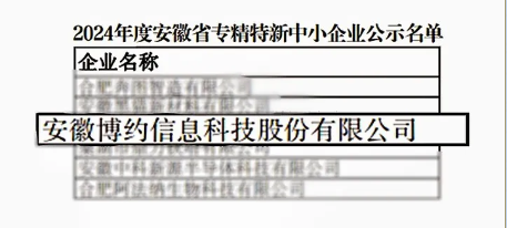 喜报 | 十大网投靠谱平台·中国官网荣获2024年度安徽省“专精特新”中小企业认定